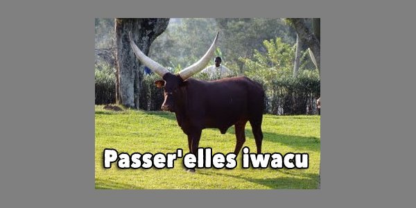 Image:Passer'Elles Iwacu : Rencontre avec les femmes rwandaises