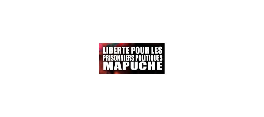 Image:Manifestation de soutien aux 34 prisonniers politiques Mapuche