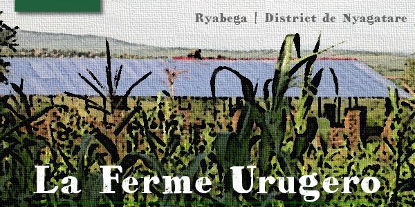 Illustration: Participez au financement de la ferme Urugero !