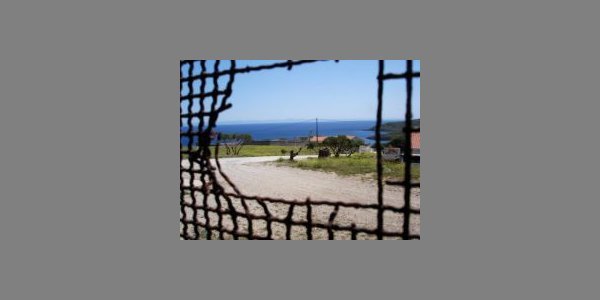 Image:Vincennes : Arrestations massives à Paris